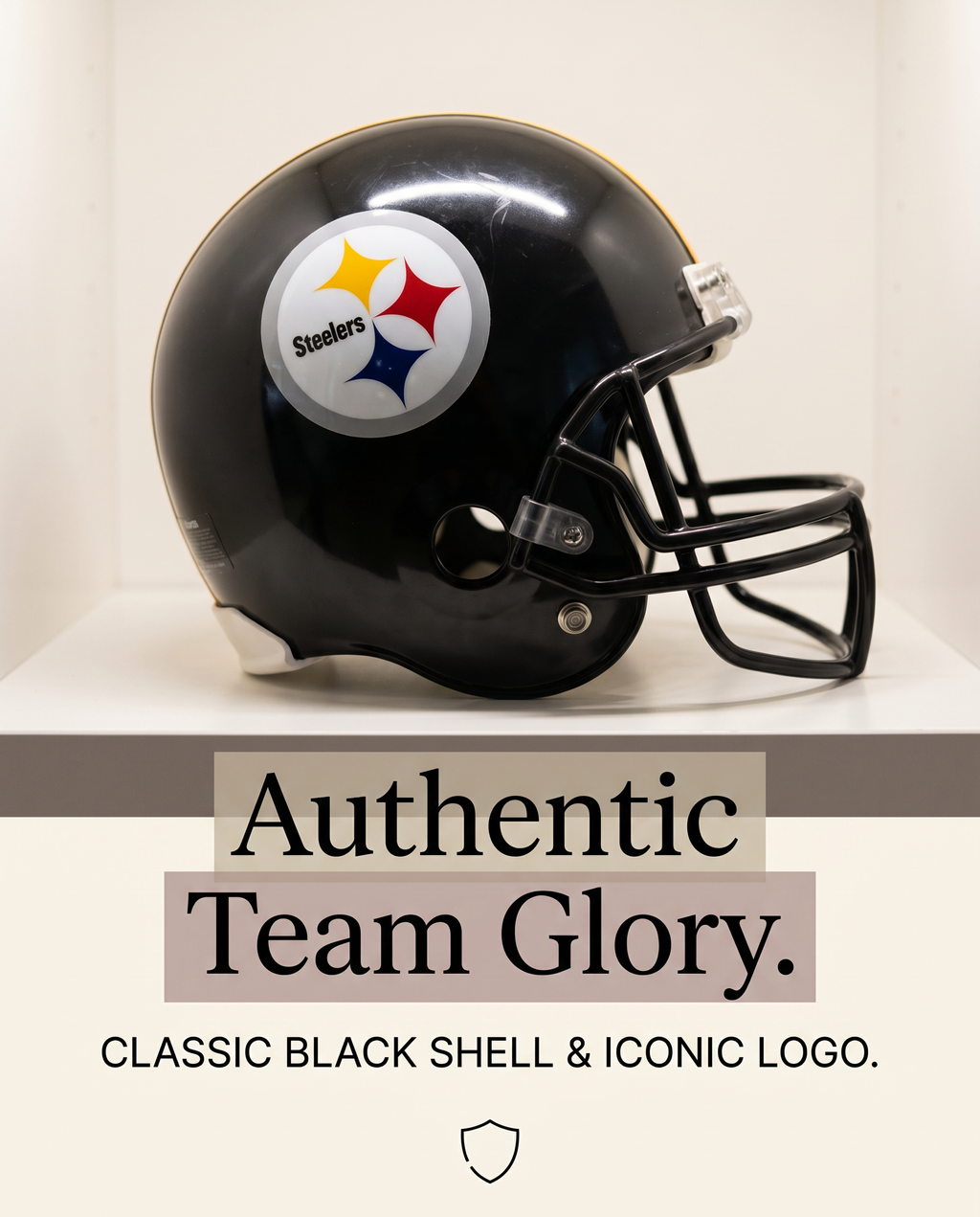 Steelers Helmet